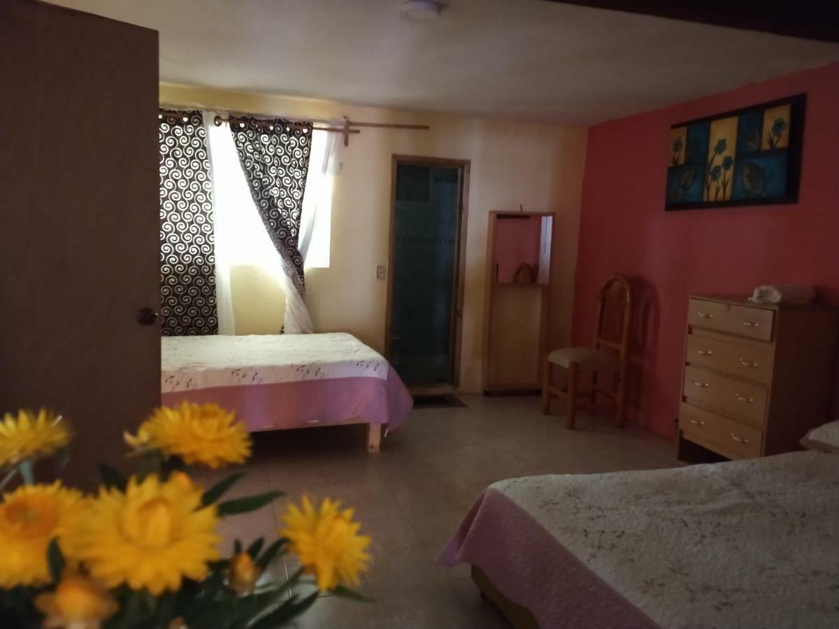 El Paraiso De Zacatlan Departamento Con Jardin, 11 Pax Exterior foto